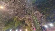 sub_image_text_2
