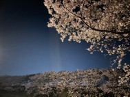 sub_image_text_3
